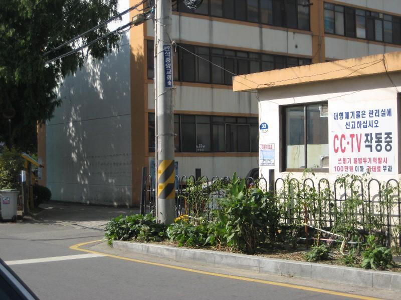 사진 274
