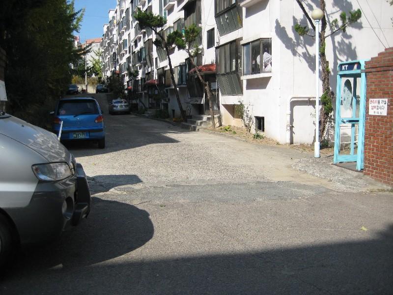 사진 290