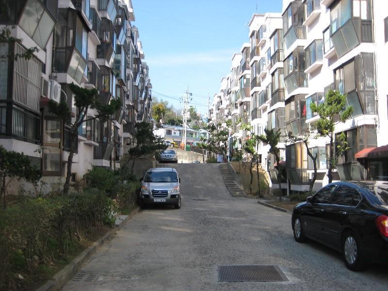 사진 294