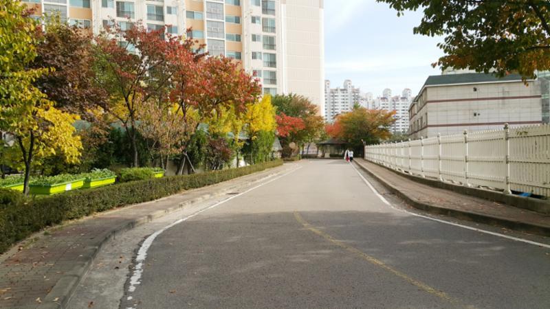 당곡3단지월드메르디앙 단지내부 도로예요