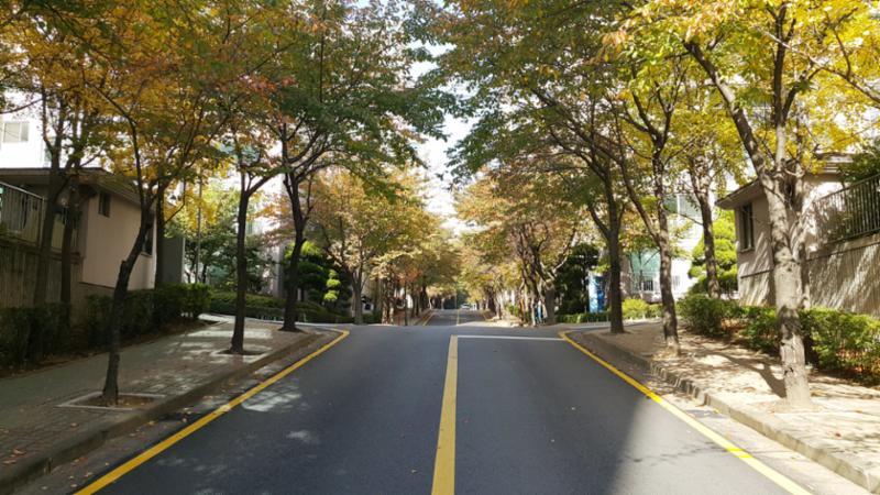유현마을신동아 아파트의 단지 내 도로입니다