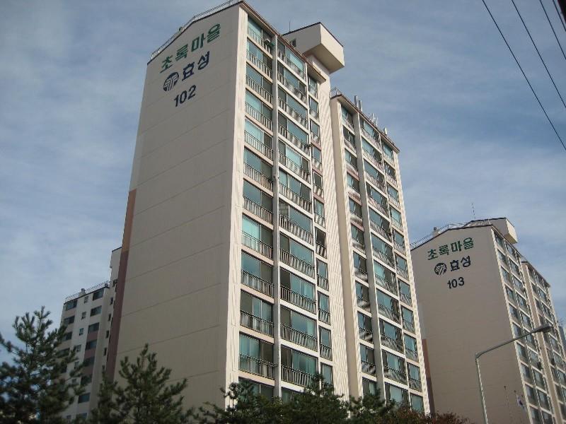 사진 415