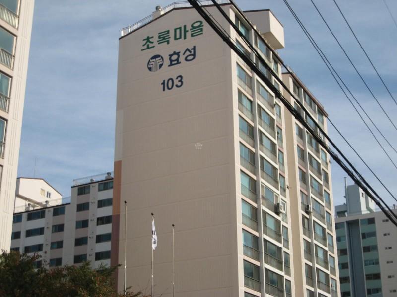 사진 416