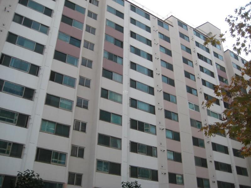 사진 424
