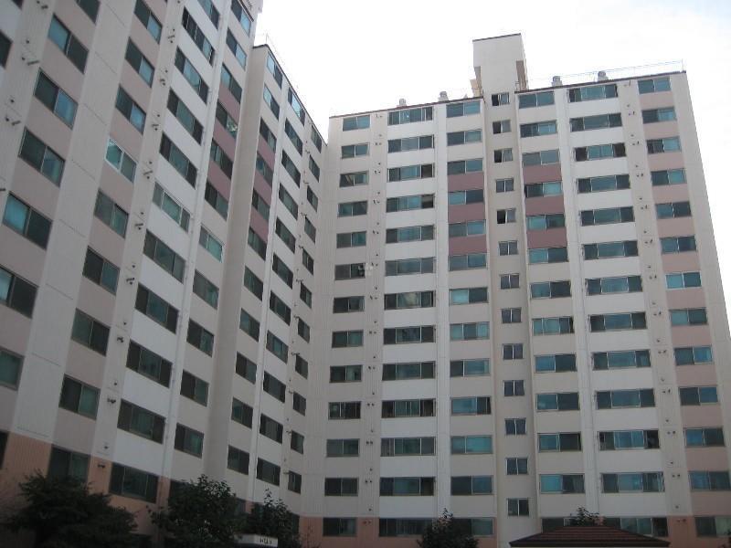 사진 425