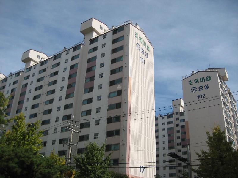 사진 413