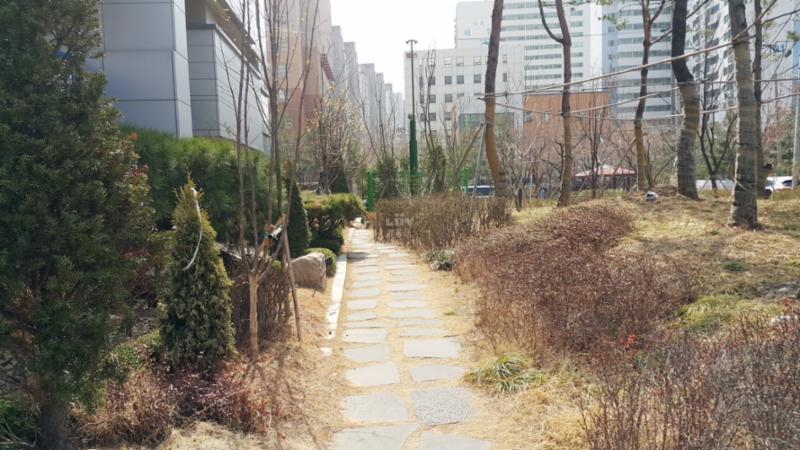 단지를 따라 걸으며 자연을 느낄 수 있는 쾌적한 단지 내 도로에요