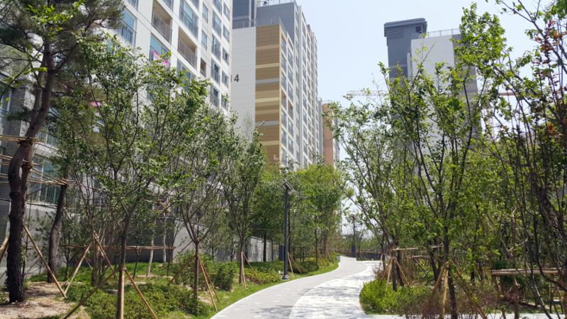 단지 내 보행로 및 산책로에요