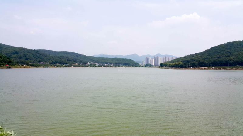 경기도 시흥시 물왕동과 산현동에 걸쳐있는 물왕저수지에요