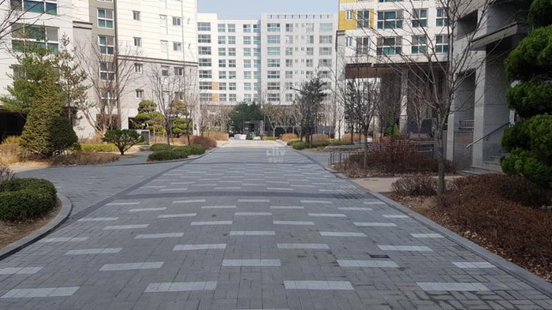 단지 내 보행로 모습이에요