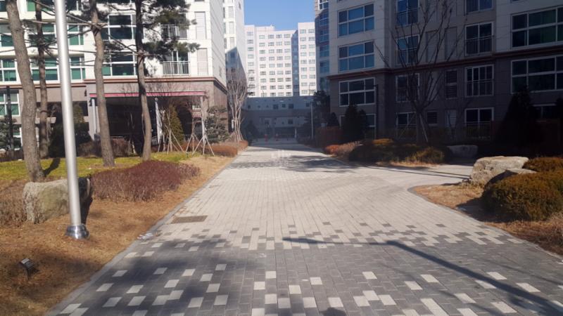 차로와 보행로가 나누어져 있어 차량이 다니지 않는 안전한 보행로에요