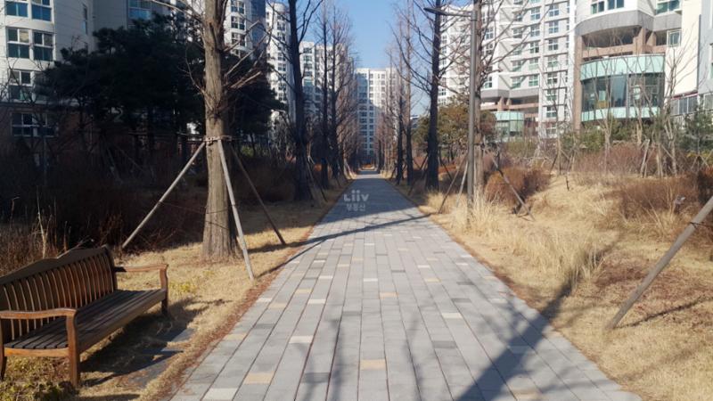 차량이 다니지 않는 안전한 보행로에요