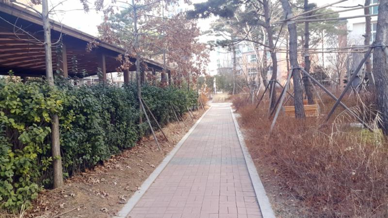 차로와 보행로가 나누어져 있어 차량이 다니지 않는 안전한 보행로에요