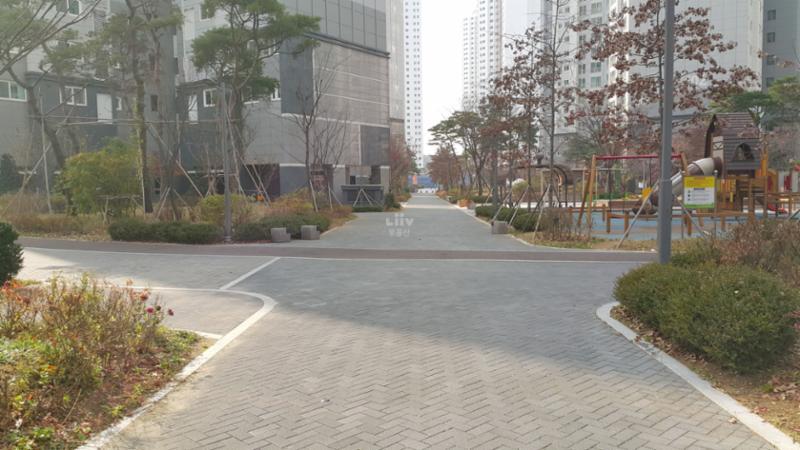 차선 없는 단지 내 도로에요