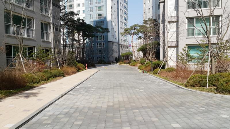 차로와 보행로가 나누어져 있어 차량이 다니지 않는 안전한 도로예요