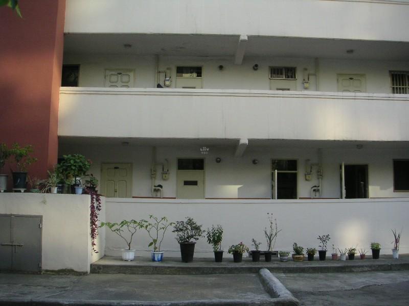 PICT6436