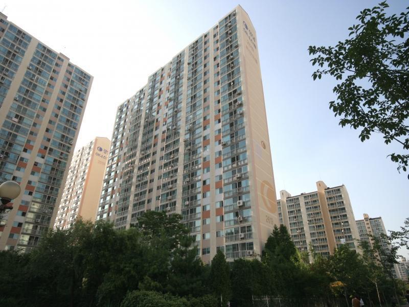 2619동