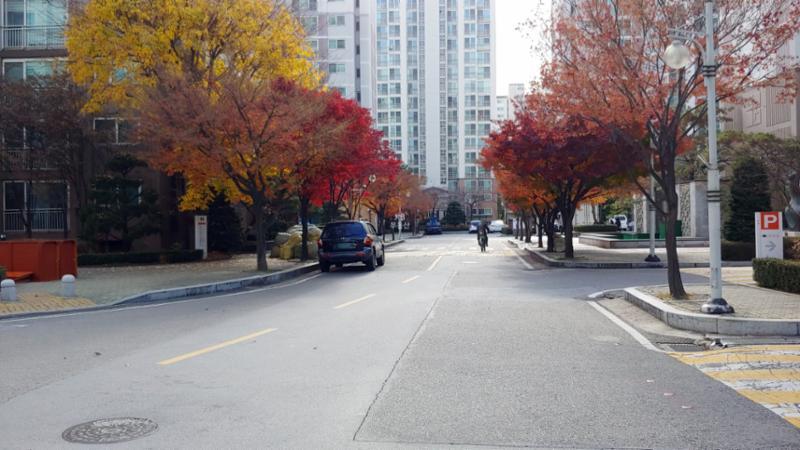정문과 후문을 연결하는 단지 내 도로입니다