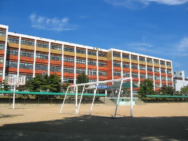 동곡초 2