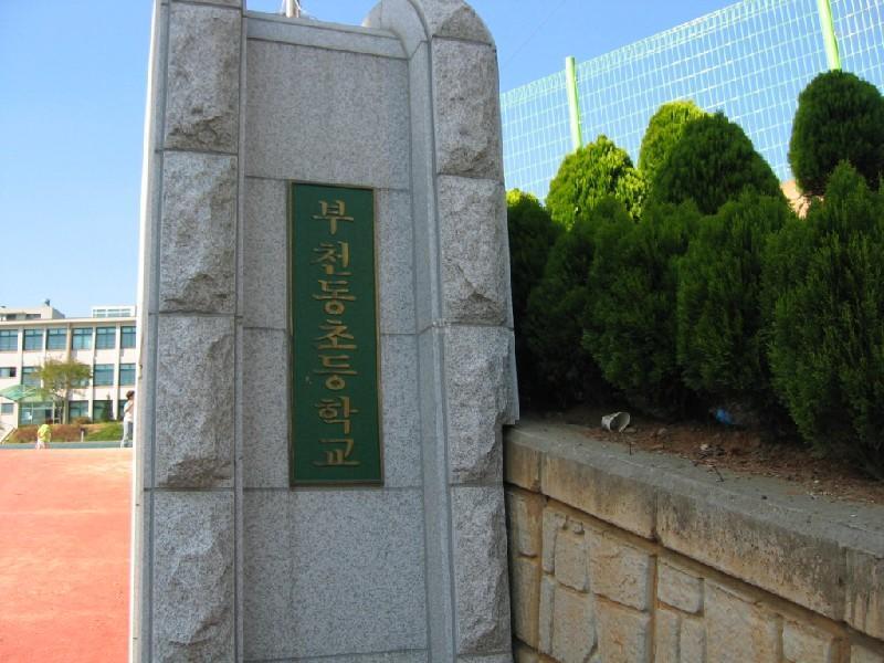 부천 동초