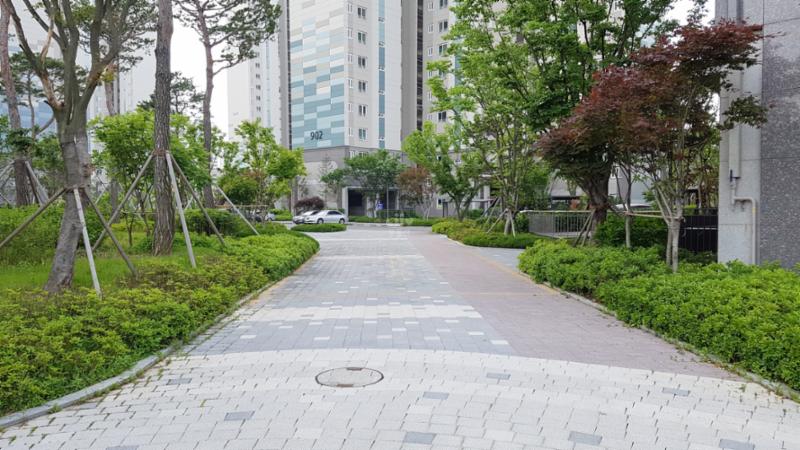 단지 내 보행로 및 산책로예요