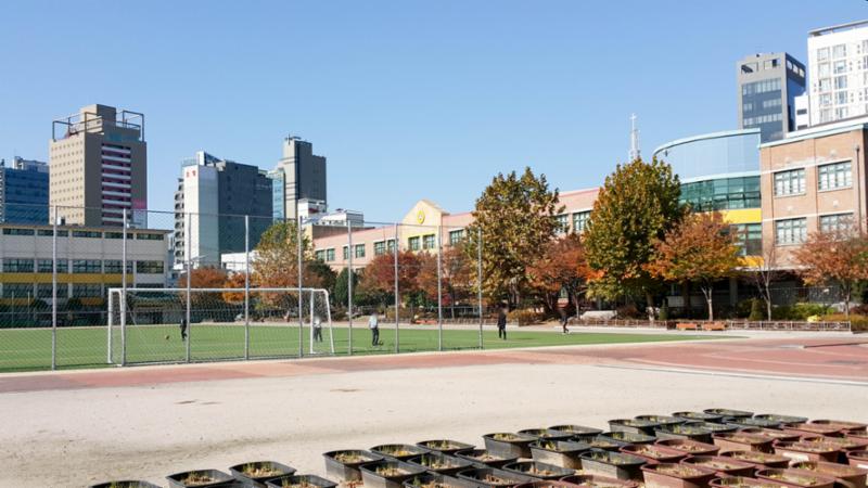 단지 주변에 위치한 용두초등학교입니다