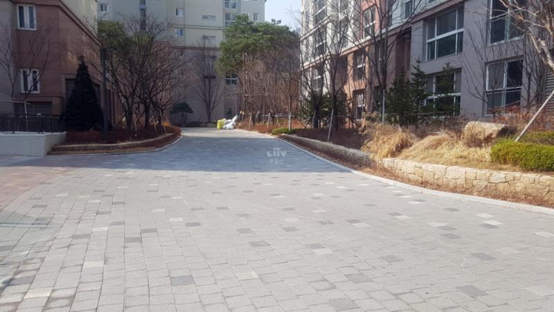 단지 내부를 가로지르는 도로의 모습이네요