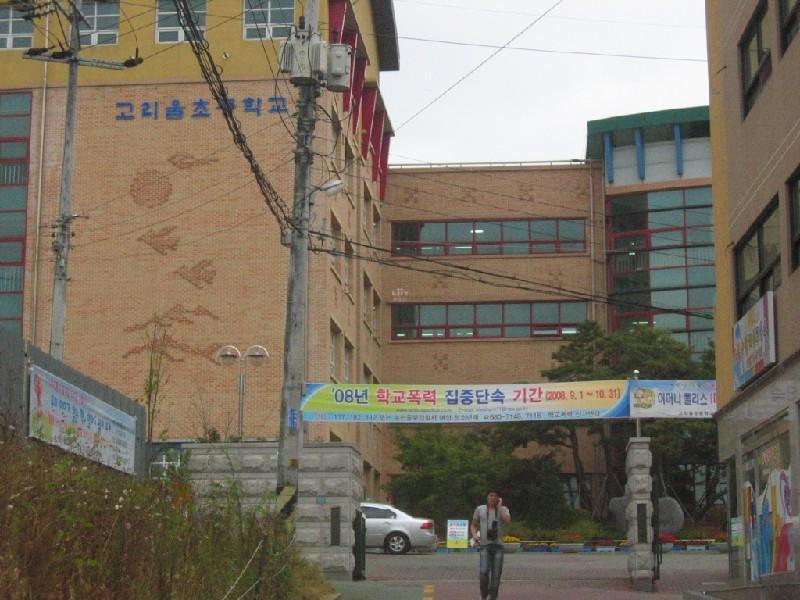 고리울초