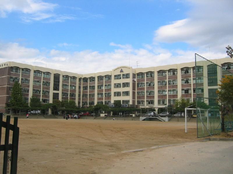 수주초