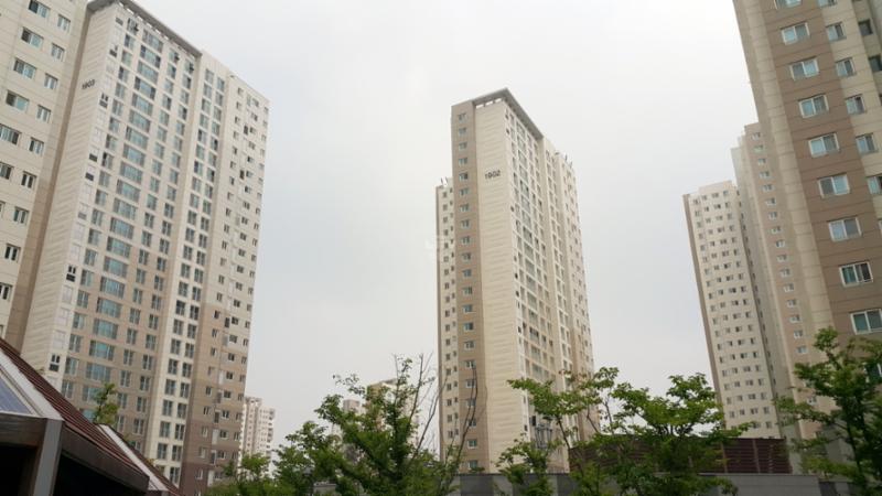 동간 거리가 넓어 쾌적한 단지 내 전경이에요