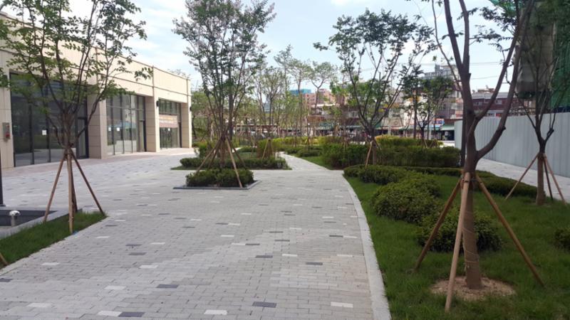 단지 내 위치한 산책로 모습입니다