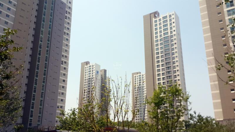 동간 거리가 넓어 쾌적한 단지 내 전경이에요