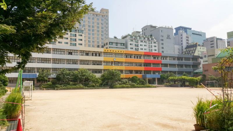 단지에서 배정되는 영동초등학교입니다