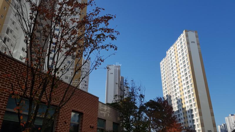 총 1100세대, 13개 동으로 구성된 호반베르디움더센트럴 단지전경이에요