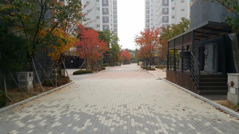 차로와 보행로가 나누어져 있어 차량이 다니지 않는 안전한 보행로에요