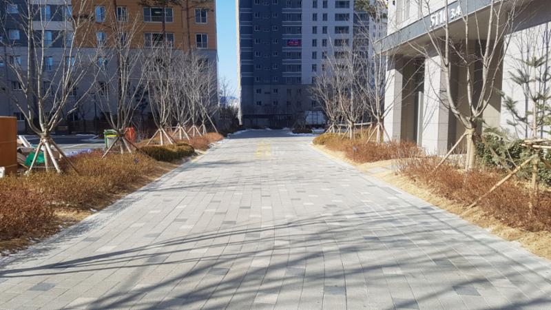 단지를 따라 걸으며 자연을 느낄 수 있는 쾌적한 단지 내 도로에요