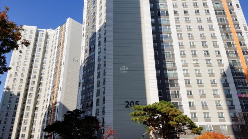 교육환경도 잘 갖춰진 편이에요