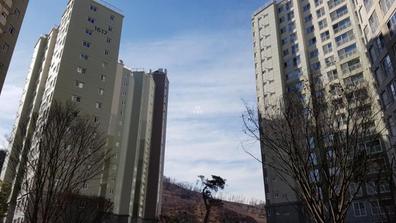 동간 거리가 넓어 쾌적한 단지 내 전경이에요