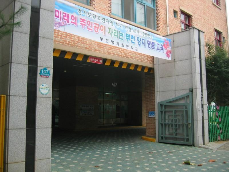 양지초