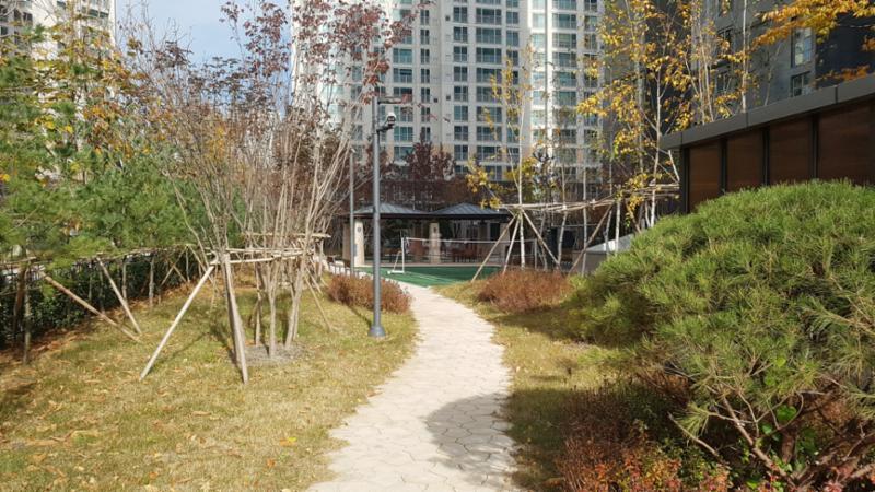 힐스테이트청계의 단지 내 산책로에요