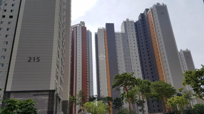 215동 모습입니다