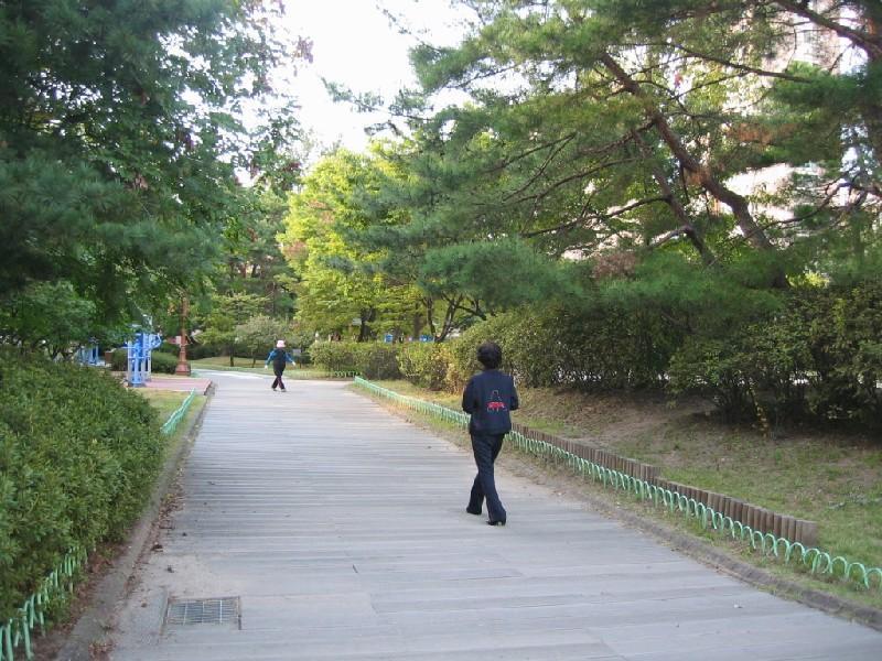 공원내
