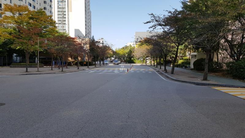 단지 내 도로의 모습이에요