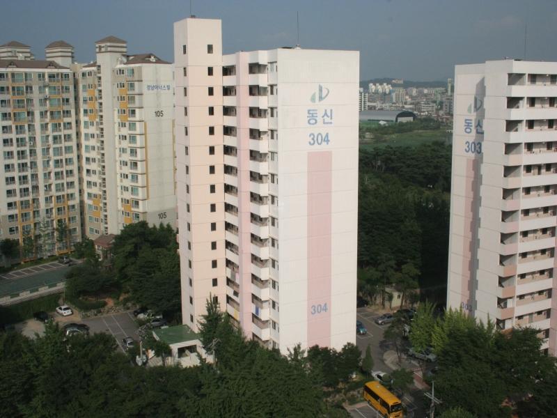 304동