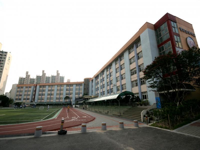 정자초교
