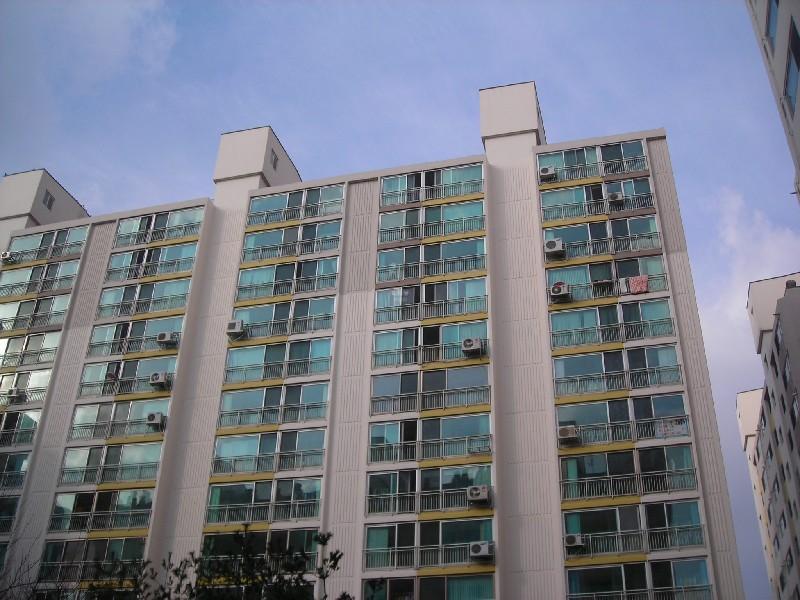 DSCN8452