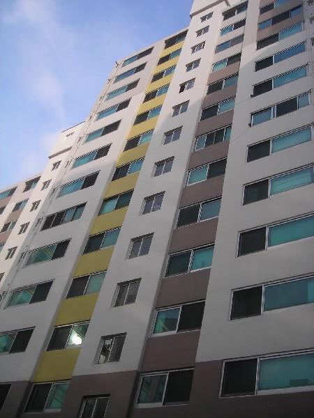 DSCN8455