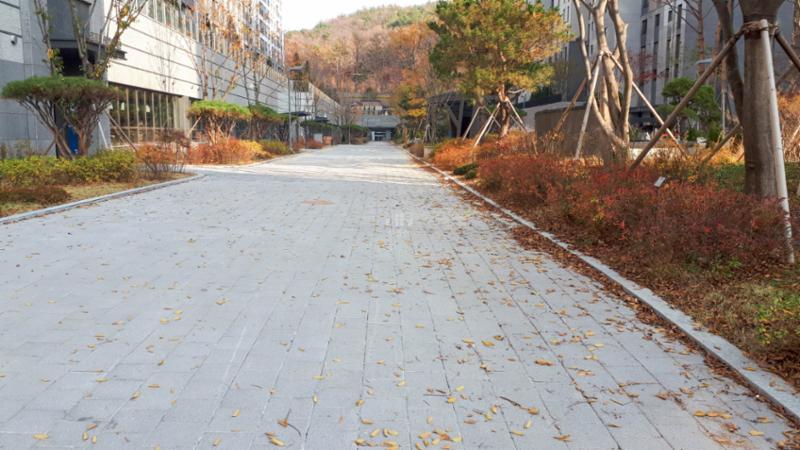 동탄파크자이의 보행로에요