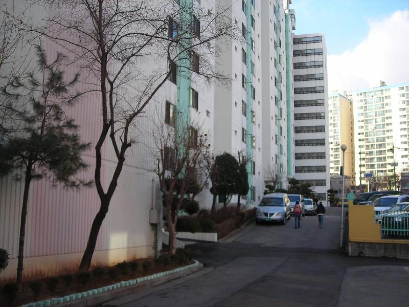 DSCN8495