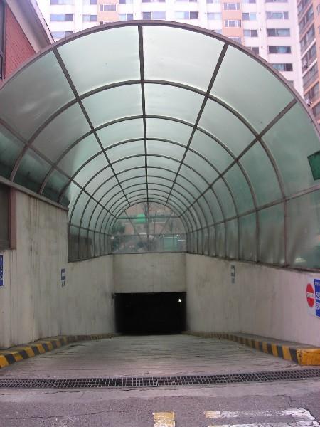 DSCN8484